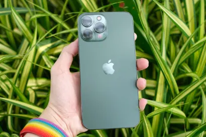 كاسيتسو كازينو تطبيق الهاتف المحمول